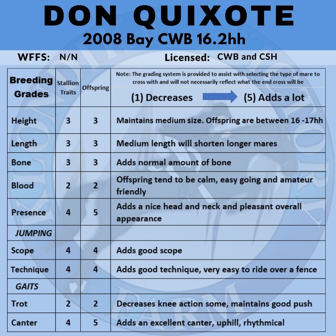 Breeding Grades Don Quixote